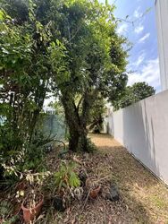 Kheam Hock Road (D11), Detached #621673871